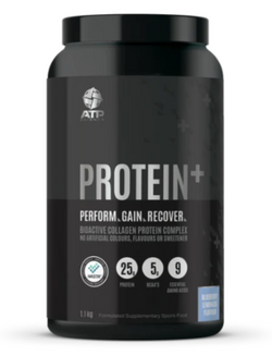 PROTEIN +