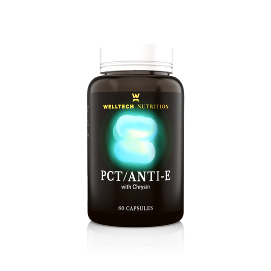 PCT / Anti-E Support – 60 Capsules By Welltech